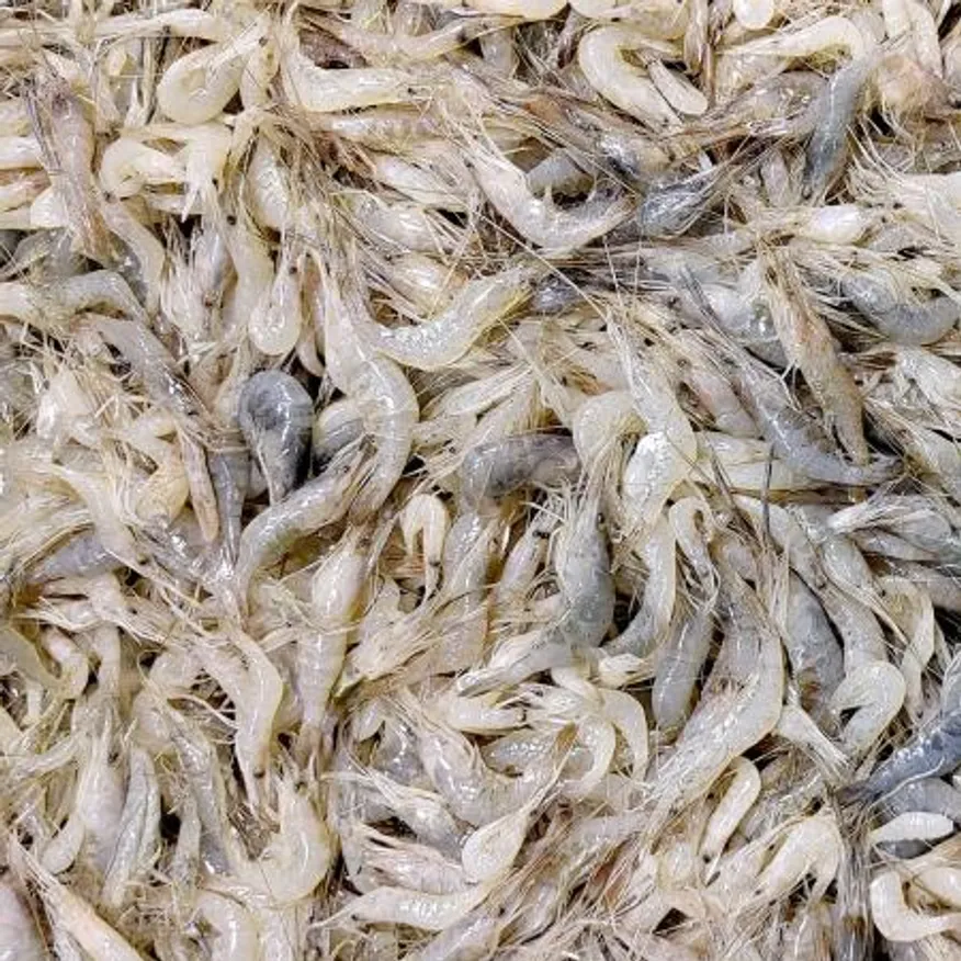 국내산 민물새우 2kg 급냉 김치양념 새우깡 새뱅이 토하 웰컴킹 이미지