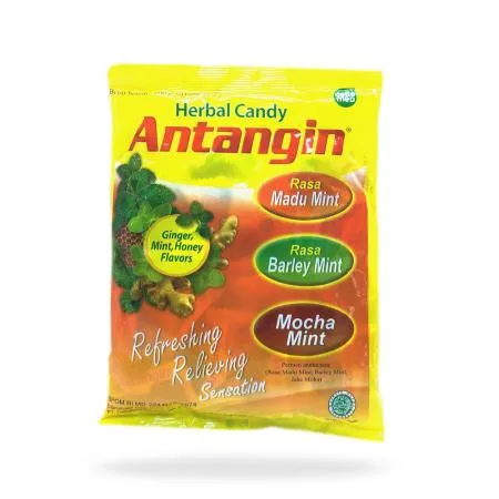 안탄진 Antangin 허브 캔디 사탕 100g