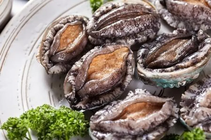 전복내장 게우 냉동 자숙 완도산 생전복내장 1kg 이미지