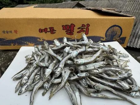 [명화씨푸드] 국산 햇 고주바 고바멸치 고추장 국물멸치 1.5kg 이미지