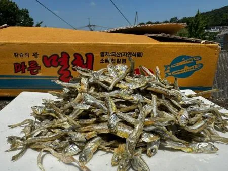 [명화씨푸드] 고추장 국물 고바멸치 1.5kg 이미지