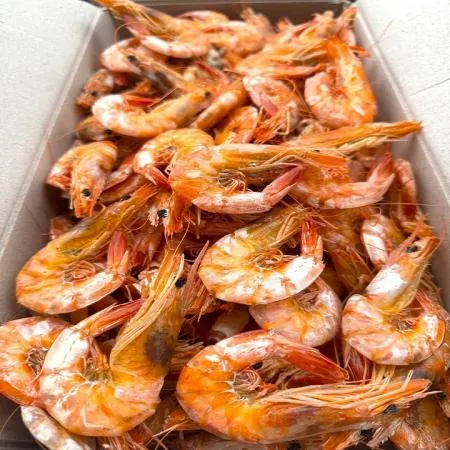 [명화씨푸드] 자연산 국산 햇 대하새우 500g 건새우 마른새우