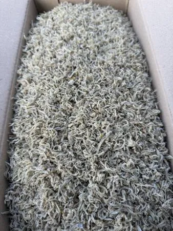 [명화씨푸드] 볶음 조림 잔지리멸치 세멸 1.5kg 이미지