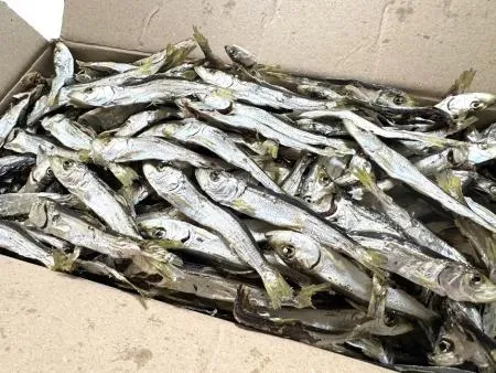 [명화씨푸드] 국산 국물 육수 햇 솔치 청어 정어리 다시멸치 1.5kg 이미지