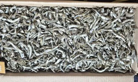 [명화씨푸드] 국산 햇 고가이리멸치 꽈리고추 고추장멸치 1.5kg