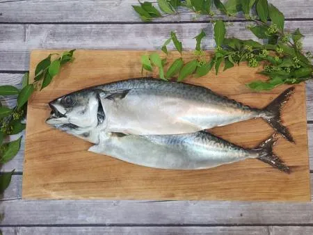 [명화씨푸드] 국산 자반고등어 10미 중대 2.3kg내외 이미지