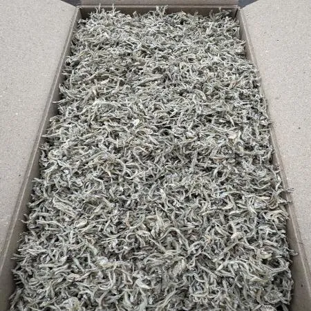 [명화씨푸드] 볶음 조림 햇 새우 지리멸치 잔멸치 세멸 1.5kg