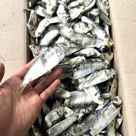 [명화씨푸드] 국물 육수 국내산 디포리 밴댕이 1.5kg