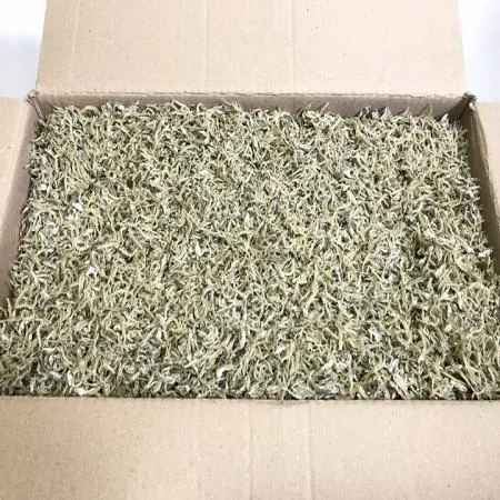 [명화씨푸드] 국산 아이들멸치 햇 지가멸치 세멸 잔멸치 1.5kg