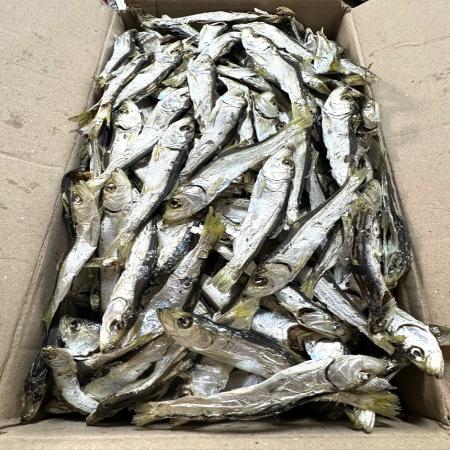 [명화씨푸드] 국산 국물 육수 햇 솔치 청어 정어리 다시멸치 1.5kg