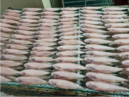 [명화씨푸드] 반건조 박대 서대 5미 31cm 박대구이 생선구이 이미지