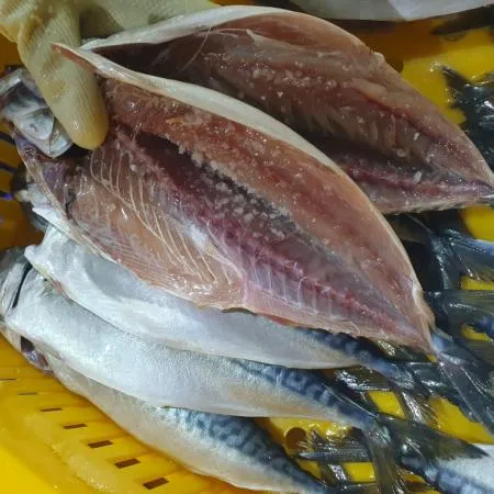 [명화씨푸드] 국산 자반고등어 10미 중대 2.3kg내외 이미지