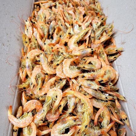 [명화씨푸드] 국내산 햇 건새우 중하새우 1.5kg 볶음 조림 국물 육수