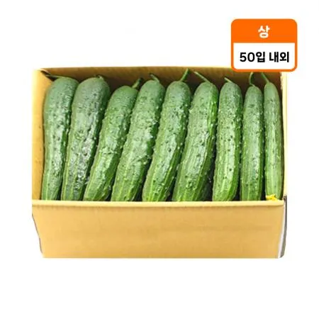 청오이(상) 50입 1박스