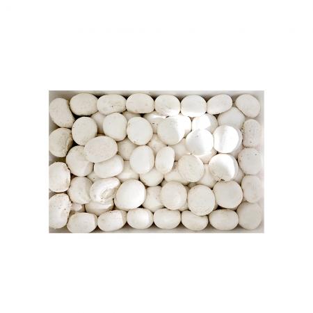 양송이 버섯(상) 2kg