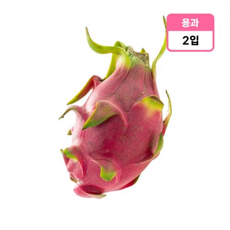 용과 2개