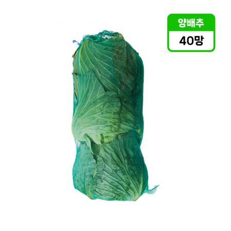양배추 (40망) 3개입