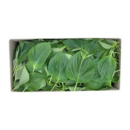 바라 깻잎 4kg