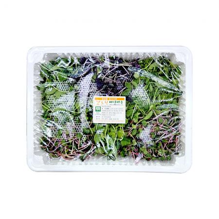 베이비채소 대 500g 1팩 베이비순 어린순