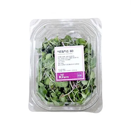 베이비채소 소 50g 1팩 베이비순 어린순