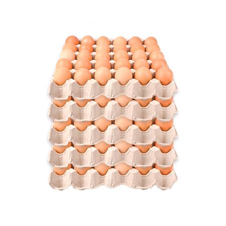 ❤️초특가❤️계란(왕란) 30알 (5판묶음판매)