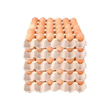 ❤️초특가❤️계란(왕란) 30알 (5판묶음판매)