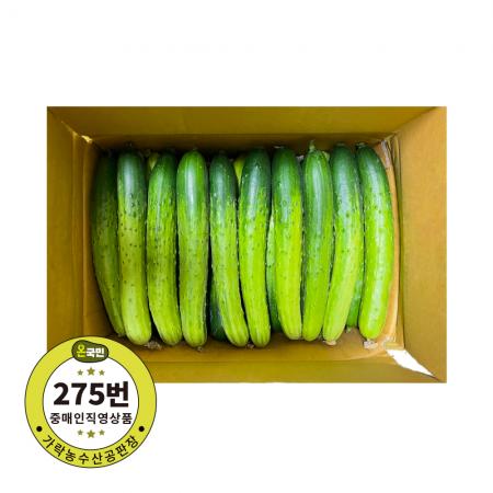 백오이(상) 100입 1박스