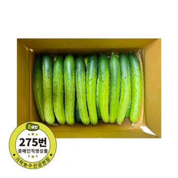 백오이(상) 100입 1박스