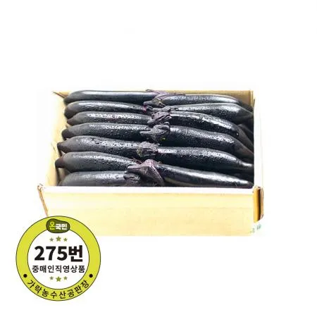 가지(상) 5kg내외