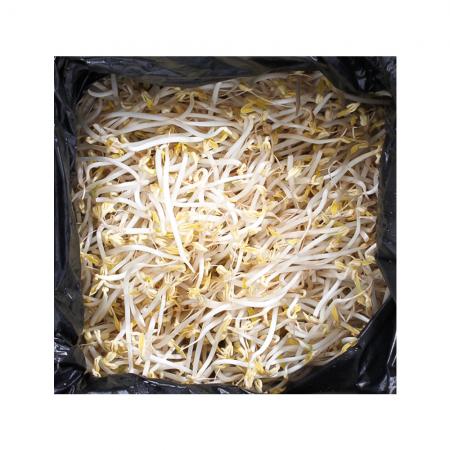 ❤️초특가❤️숙주 3.5kg 1박스