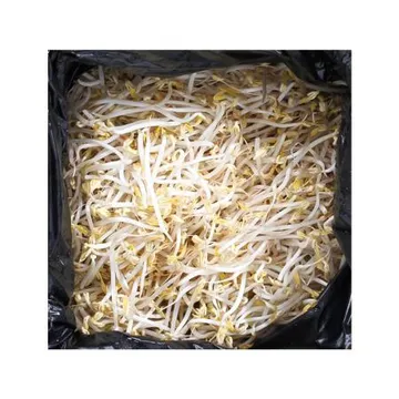 숙주 3.5kg 1박스