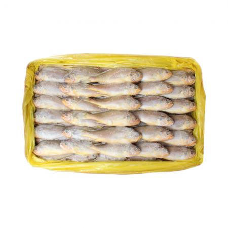 조기(61-63미) 3.6Kg 박스 냉동