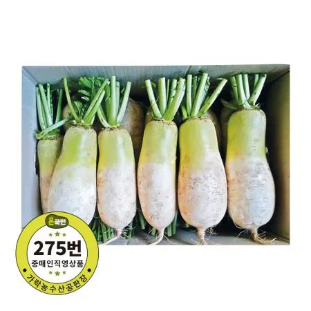 무우 국내산 11-12개 내외