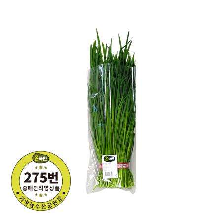 부추 1단