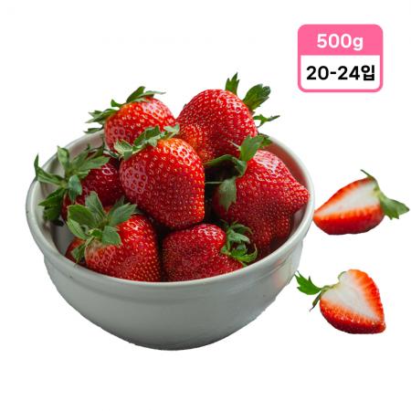 딸기 500g 20-24입