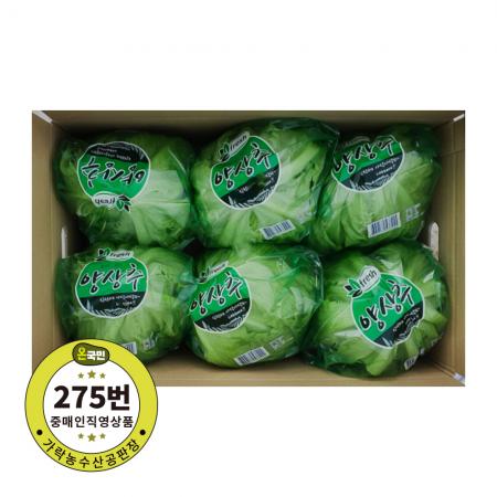 양상추 12입 1박스