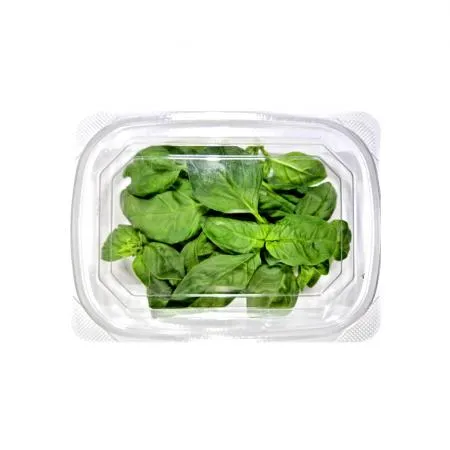 바질 10g