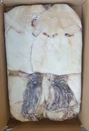 해공무역 할복오징어 5Kg 중국산 냉동