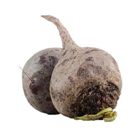 알비트 1개