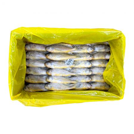 참조기(50/52) 3.5kg