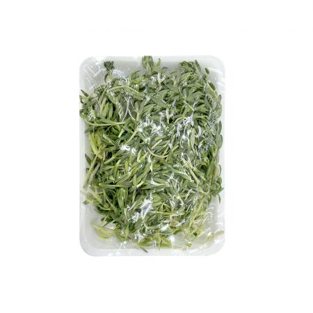 돌나물 4kg 돈나물 돗나물