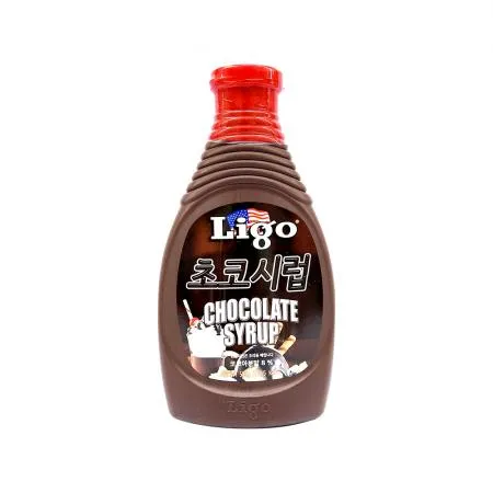 리고 초코시럽 585g