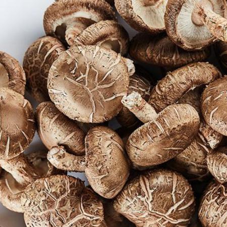 표고버섯 상 국내산 1kg 실속