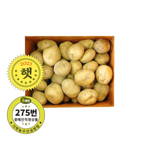 감자(왕특) 국내산 10kg