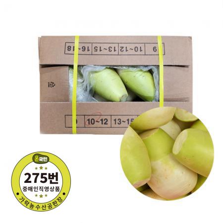 제주산 무우(특) 10-12개 내외