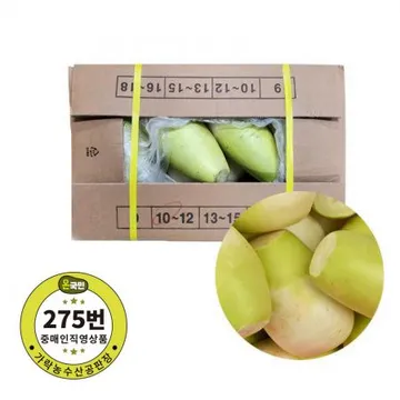 제주산 무우(특) 10-12개 내외