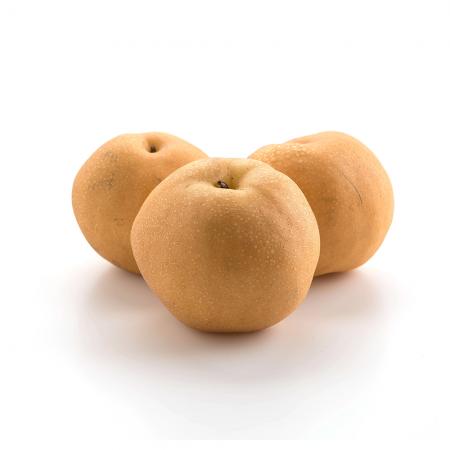 실속 배 1kg 내외 가정용 소스용