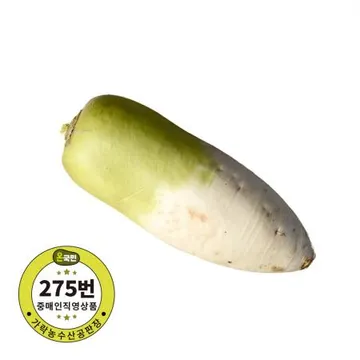 무우 국내산 1개