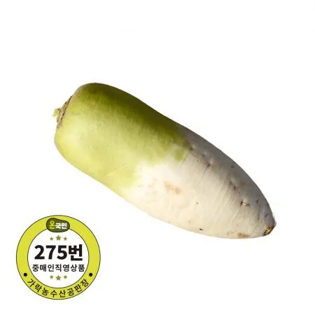 무우 국내산 1개