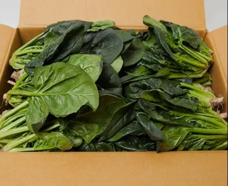시금치 4kg